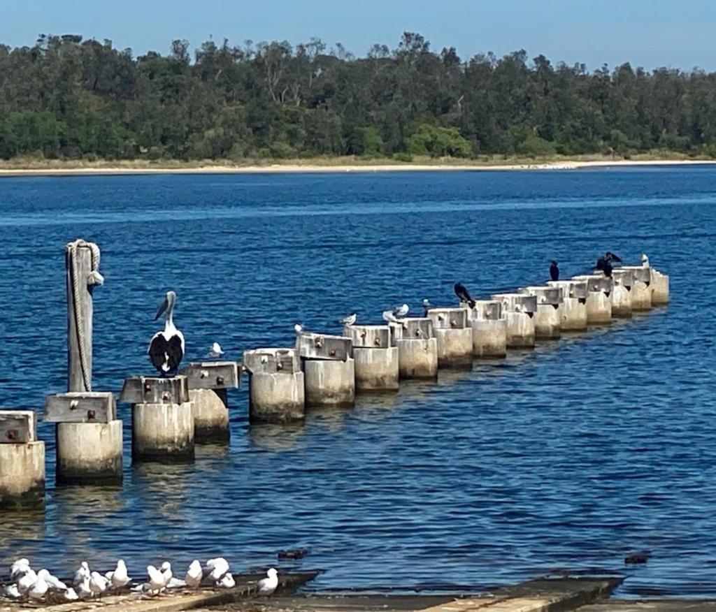 Sandbar Motel Lakes Entrance Eksteriør bilde